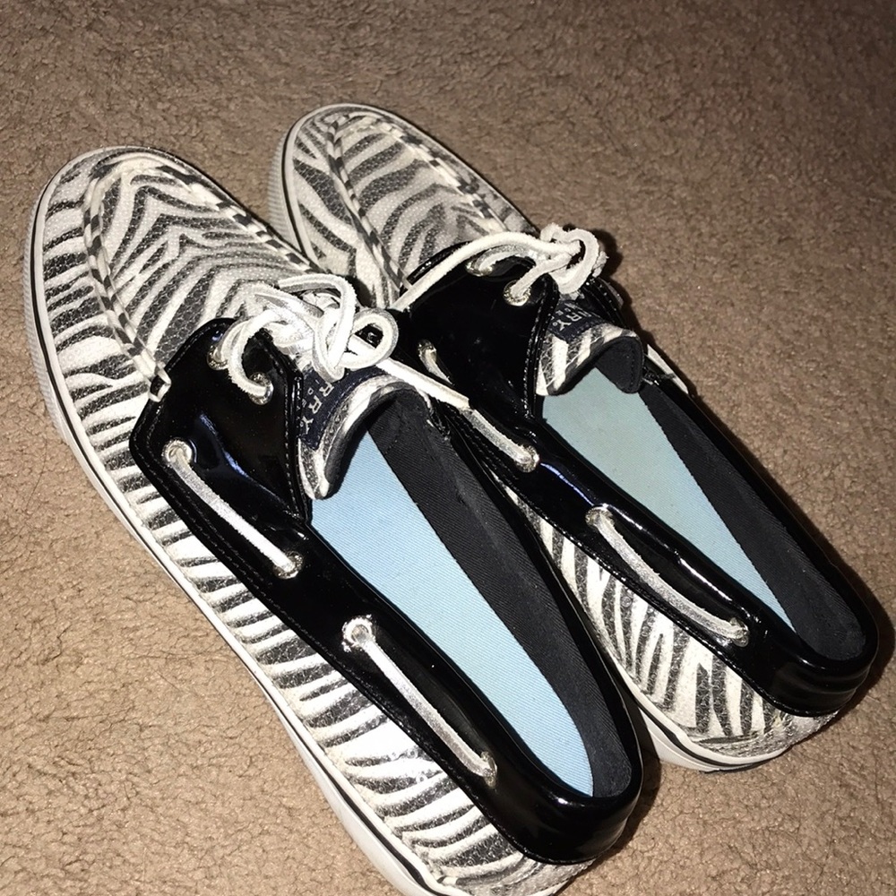 Zebra Sperrys